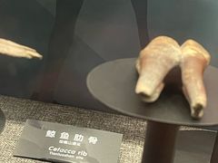 -河姆渡遗址博物馆