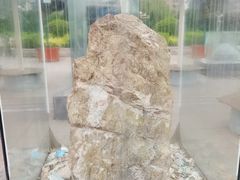 -陕西自然博物馆