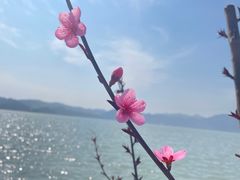 -东钱湖旅游度假区