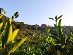 -海宁大尖山滑翔伞运动基地