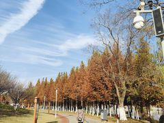 -桃花岛公园