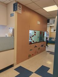 -杭州贝瑞斯美华妇儿医院·早孕·产检·儿科