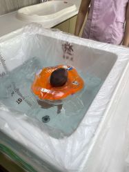 -雪绒花月子会所(万安店)