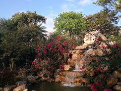 -惠州金海湾嘉华度假酒店