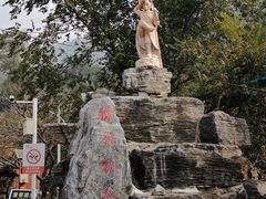 -大岭沟猕猴桃谷风景区