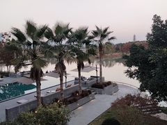 -三垟湿地