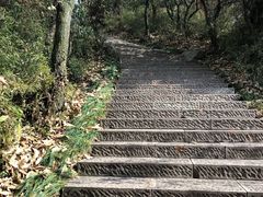 -杭州半山国家森林公园