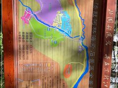 -汤旺河林海奇石景区