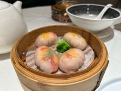 黄椒酱鲜虾钓鱿水晶饺-银灯食府(丽丰国际中心店)