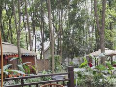 -二荆条·蜀鲜汇城市森林火锅