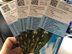 -呀诺达热带雨林
