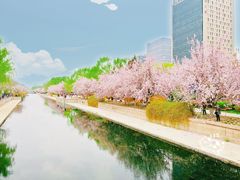 -海棠花溪(元大都城垣遗址公园)