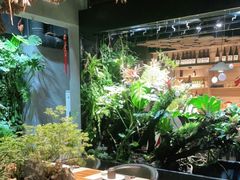 -森味薪火烧•烧鸟居酒屋•日本料理(望京店)