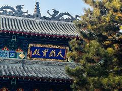 -北山公园
