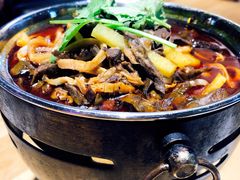 红汤羊杂-蒙料·手把肉(望京店)
