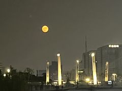 -运河游船(武林门码头)