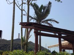 iphone_upload_pic-南丫岛