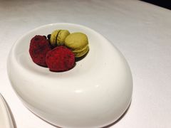 -蝶舍·MAISON PAPILLON