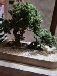 -盘子女人坊古装写真摄影(南京总店)