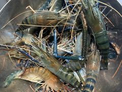 -桃源乐钓虾馆(松岗概念店)