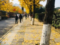 -西南政法大学(沙坪坝校区)