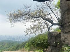 -广州市白云山风景名胜区