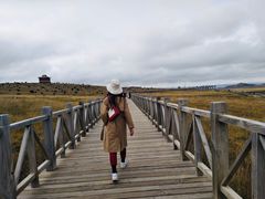 -黄河九曲第一湾