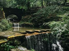 -莫干山风景区