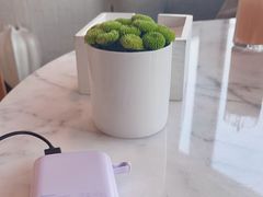 -瑰丽酒店·海吧·天际下午茶·现场DJ·天台酒吧
