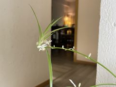 -赏清合茶文化艺术体验馆(百瑞景店)