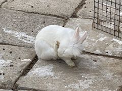 -南宫五洲植物乐园