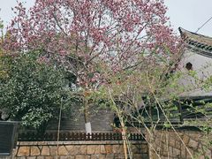 -湛山寺