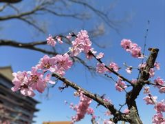 -大明幻境第一城