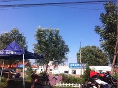 -小叮当动物医院·骨科·眼科