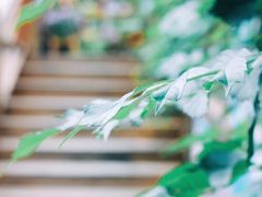 -宁波余姚老柿林山居度假村