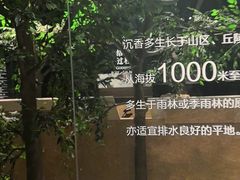 -香市公园-中国沉香文化博物馆