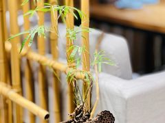 -竹里馆 ·茶食(奥体店)