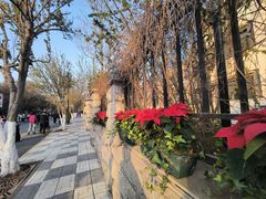 -天津五大道文化旅游区