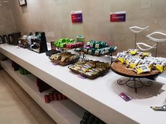 -郑州新郑国际机场T2航站楼-贵宾厅B区