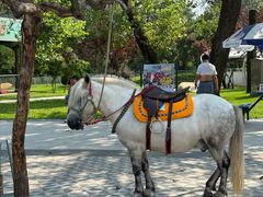 -南戴河国际娱乐中心