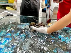 -养牛邓·潮汕牛肉海鲜自助火锅(广州店)