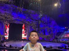-广州长隆国际大马戏