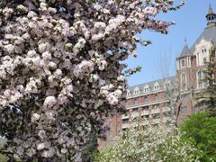 -利顺德大饭店·维多利亚花园(小白楼店)