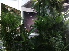 -精绝七日-新疆尼雅遗址数字大展【拉法耶文化艺术中心】