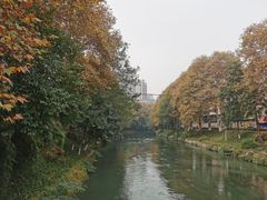 -大湾金牌万州烤鱼(沙河店)