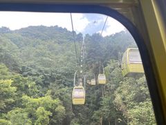 -黔灵山公园