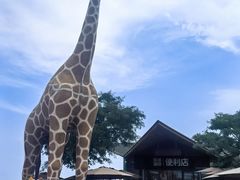 -西霞口神雕山野生动物世界