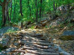 -泰山风景名胜区