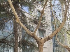 -西安工程大学-图书馆