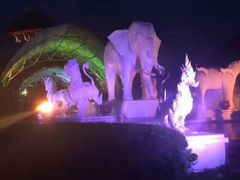 -清迈夜间动物园